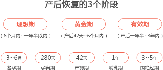 产后恢复的3个阶段