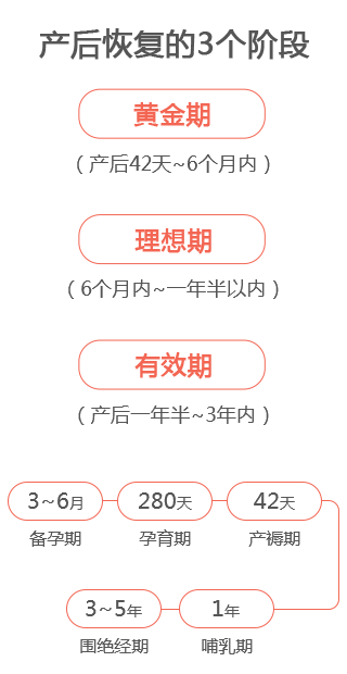 产后恢复的3个阶段