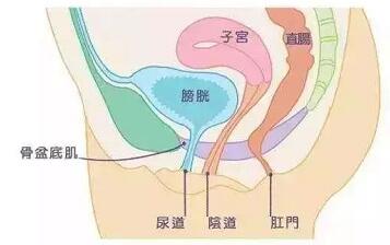 仁慈妇产